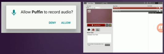 Click on Start My Show, then on Allow Puffin to record audio and now you should be streaming live