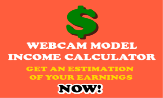 Check out the ultra cool I-Camz Webcam model income calculator.