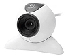 Webcam modeling wanted