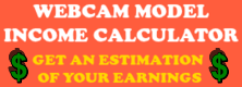 Check out the cool I-Camz Webcam model income calculator.